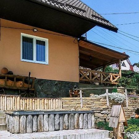 Вулик Будиночок З Двома Окремими Номерами كاميانيتس - بوديلسكيي المظهر الخارجي الصورة